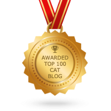 top 100 cat blog