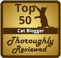 top 50 cat bloggers from thoroughly reviewed