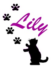 LilySignature