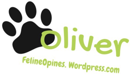 Oliver the kitten's siganture