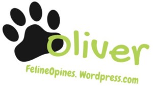 Oliver the kitten's siganture