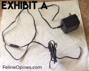 cord chewed through by cat