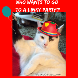 Oliver the black and white kitten invites you to a Linky Party
