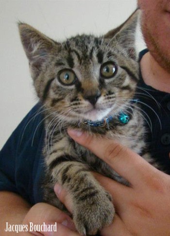 2016-08-31_jacquesbouchard_01