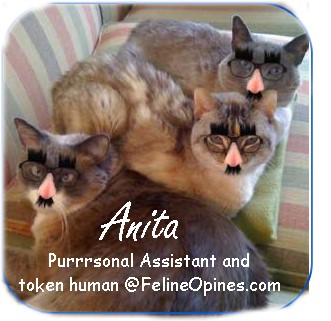 AnitaSig_FelineOpines