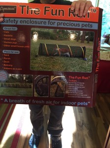 The Fun Run Safety Enclosure for cats