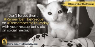 remember me thursday shelter event