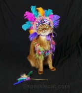 Sparkle Cat in a mardi gras costume