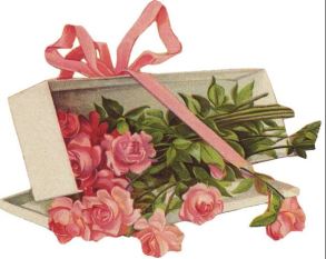 box of pink roses with a pink ribbon