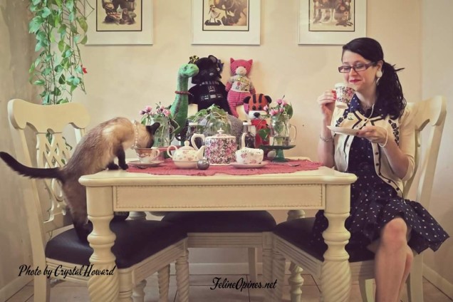 Siamese Cat and human having a tea party