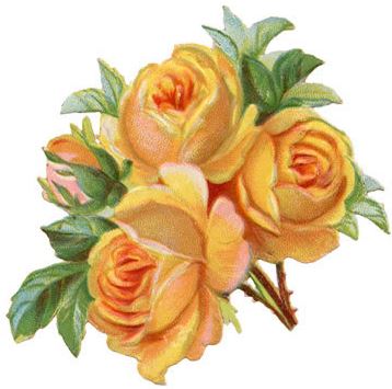 bouqet of yellow roses