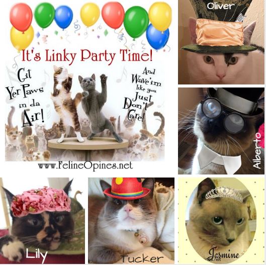 Five cats in hats celebrating Linky Party