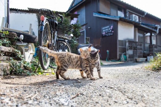 c7ebc447205a9ea0a5f8d9812ce1664845f3667c_860