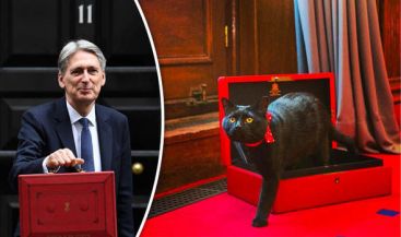 black cheif mouser at the british treasuary