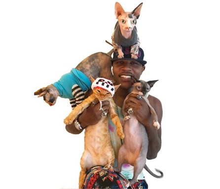 rapper with his hairless cats