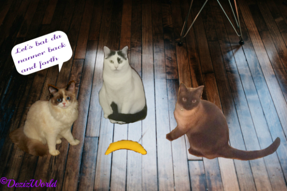 three cats play with a bananna toy