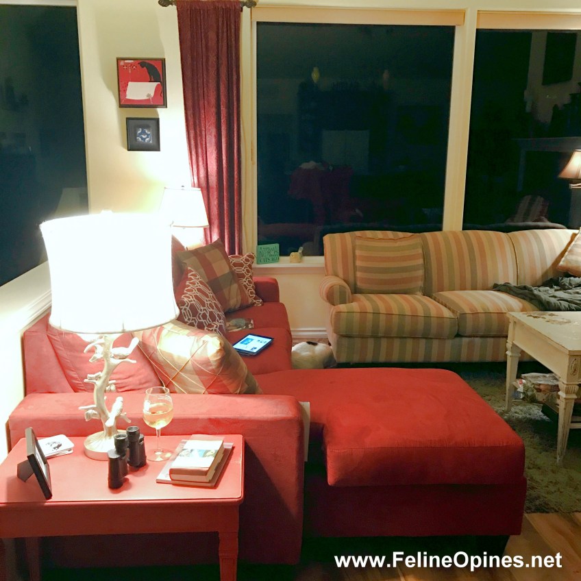 a living room with two sofas