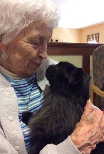 elderly woman holding a black cat