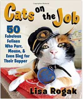 CatsOnJobBook