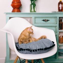 orange tabby on Island Cat Bed from Tuft + Paw