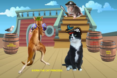 black and white cat on pirate ship