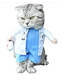 Gray Tabby in a doctor Halloween costume