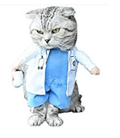 Gray Tabby in a doctor Halloween costume