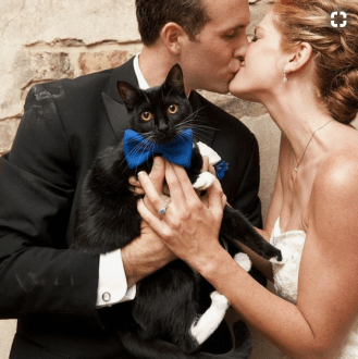 bride and groom with black and white cat with blue bow tie