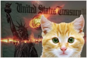 yellow tabby cat sleuth