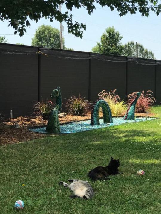 catty shack feral cat shelter