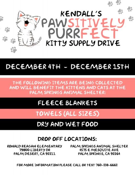 Kendalls Pawsitively Purrfet kitty supply deive