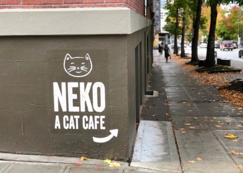 Neko crop