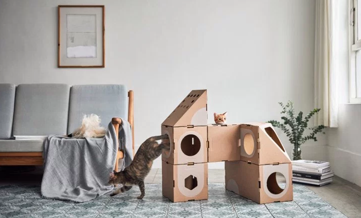cardboardCatDwellings