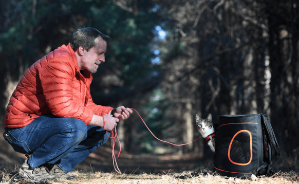 Buddy the Adventure Cat