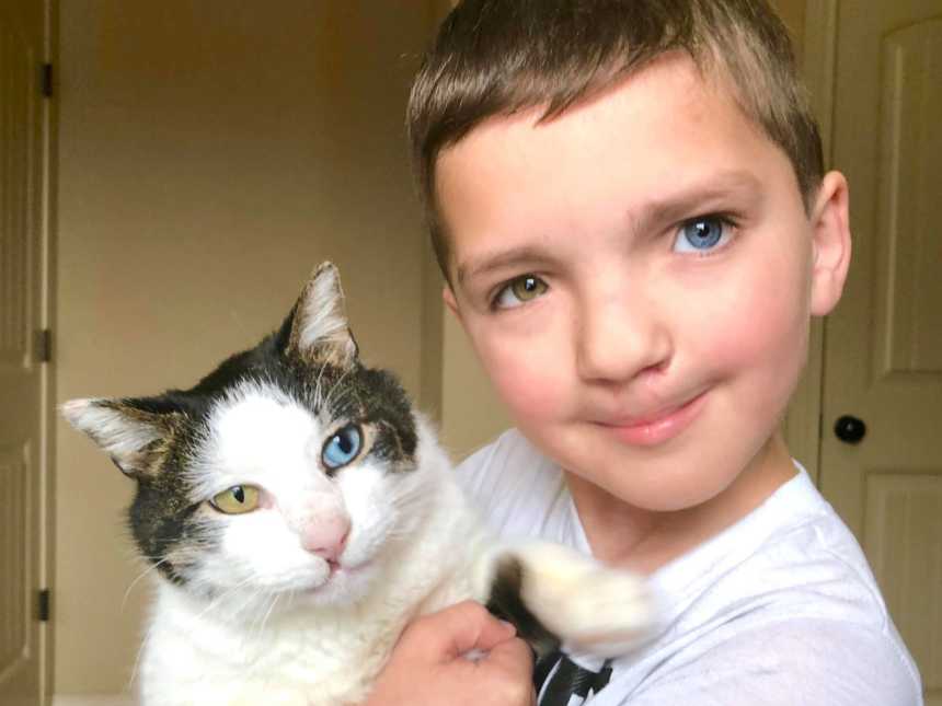 boy with multicolor eyes adopts cat with same condition