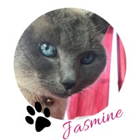 JasmineSig