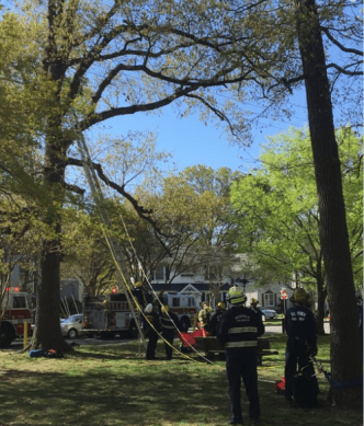 firefighters rescue man in tree who tried to rescue cat