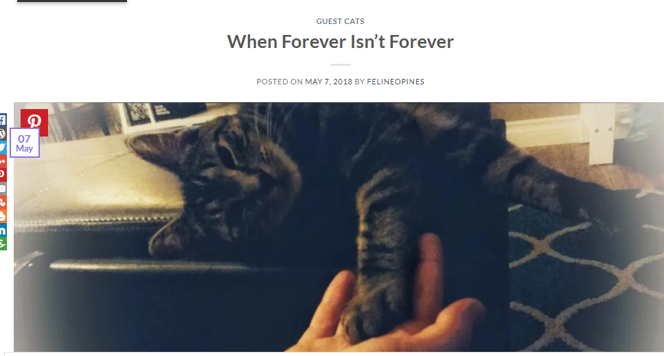 WhenForeverIsntForevber