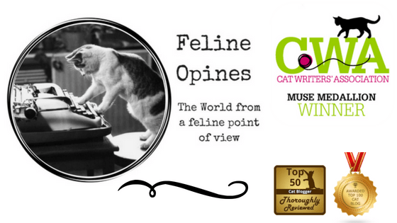 Feline Opines award winning blog