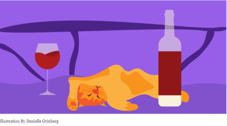 cats make good drinking buddies