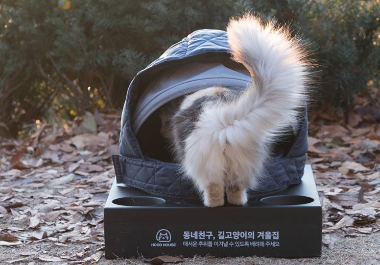 used hoods keep feral cats warm in the winter