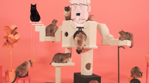 cats in KFC commercial