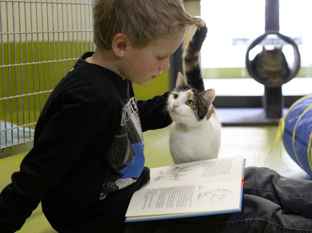 child reads to shelter cat