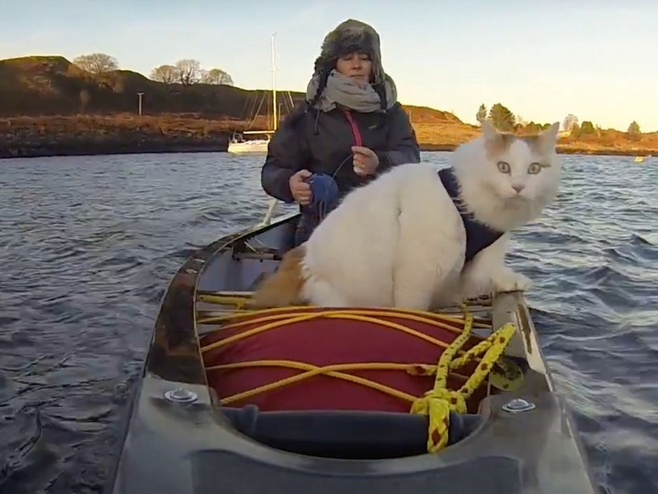 SaltyTheBoatCat
