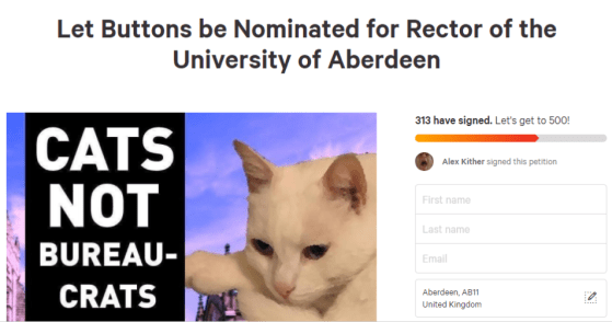 white cat Buttons from Aberdeen college