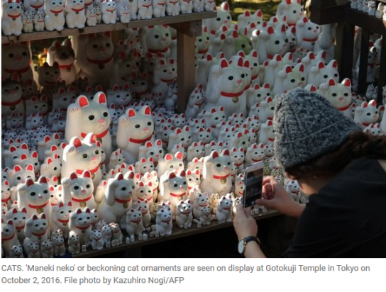 Tokyo lucky cat temple