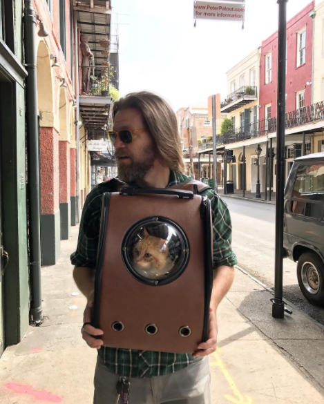 orange tabby in backpack with window