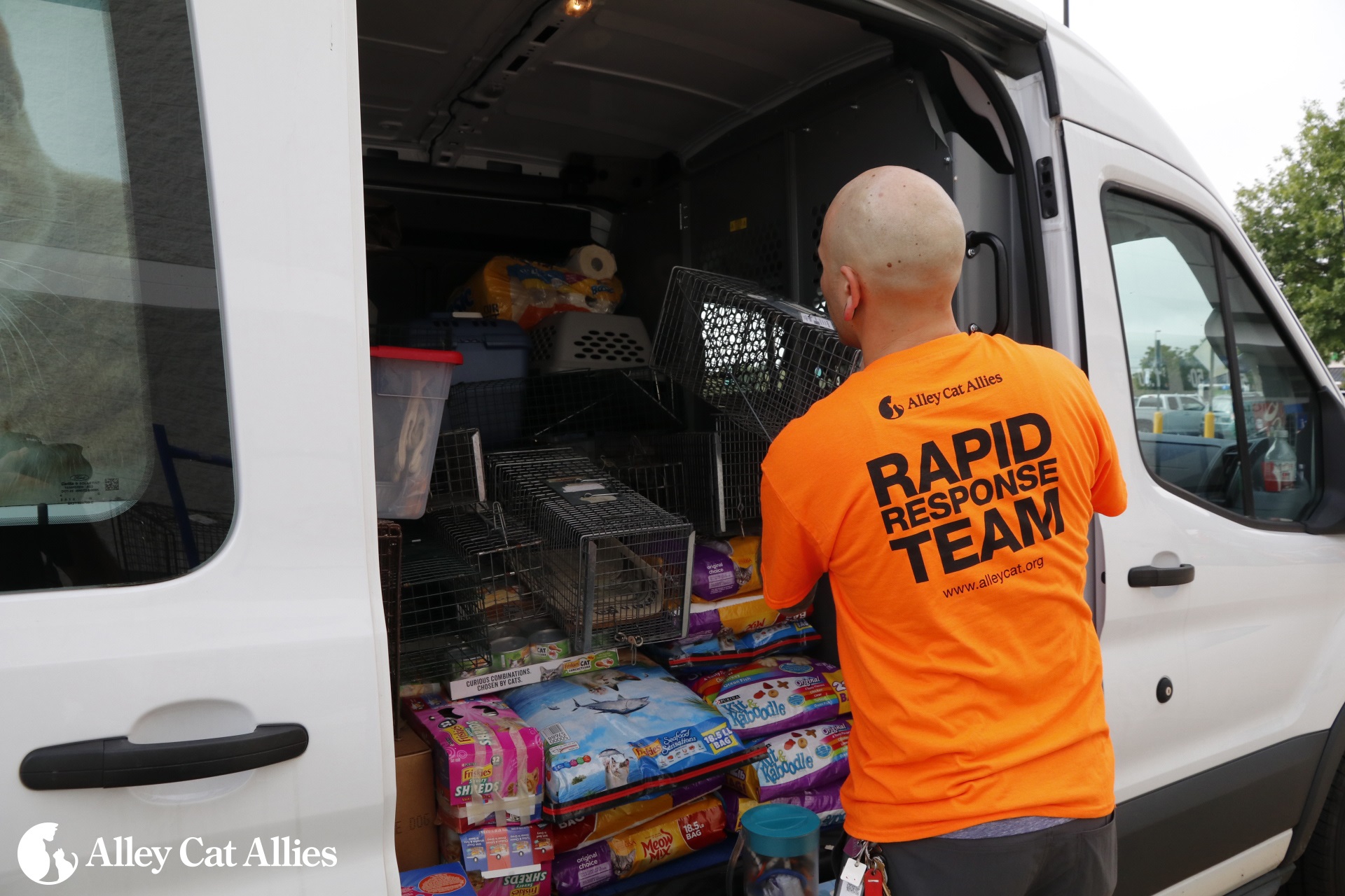 AlleyCatAlliesResponse