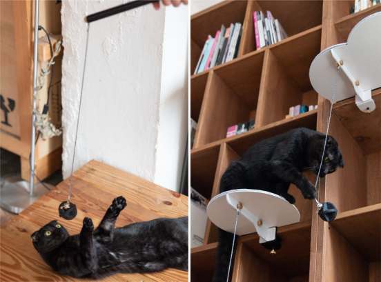 black cat on cat furniture