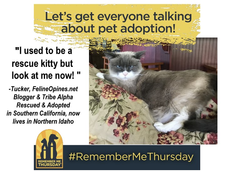 Tuck_LookATMeNow_Frame